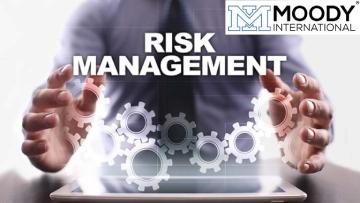 ISO 31000:2018 Risk management systems