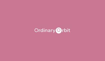 ORDINARY ORBIT LLC